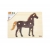 Viga 44607 Puzzle na podkładce z uchwytami - Koń