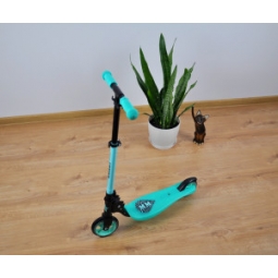 Scooter Smart Mint