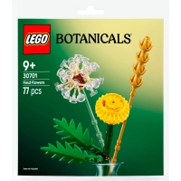 LEGO 30701 BOTANICALS KWIATY POLNE