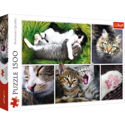 KOCIE SPRAWY PUZZLE 1500 elementów TREFL 26145