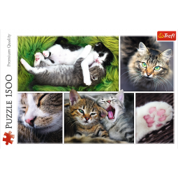 KOCIE SPRAWY PUZZLE 1500 elementów TREFL 26145